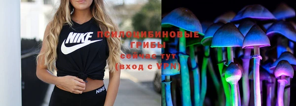 гидропоника Шали
