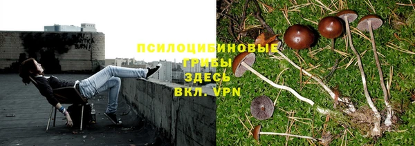 гидропоника Шали
