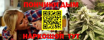 прущие грибы Будённовск