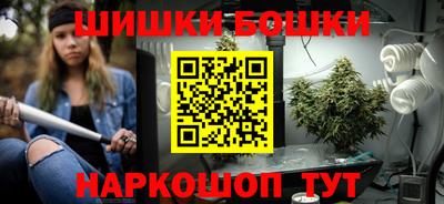 прущие грибы Будённовск