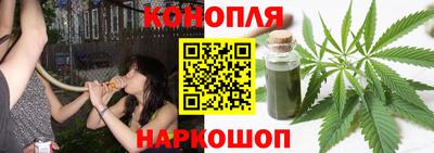 прущие грибы Будённовск