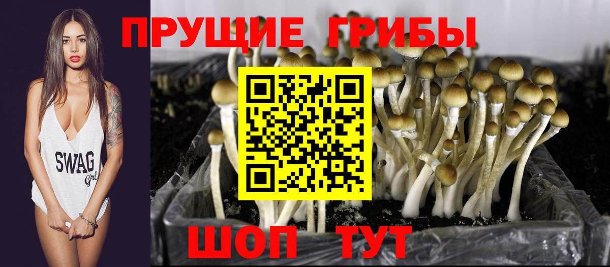 Галлюциногенные грибы мицелий Десногорск