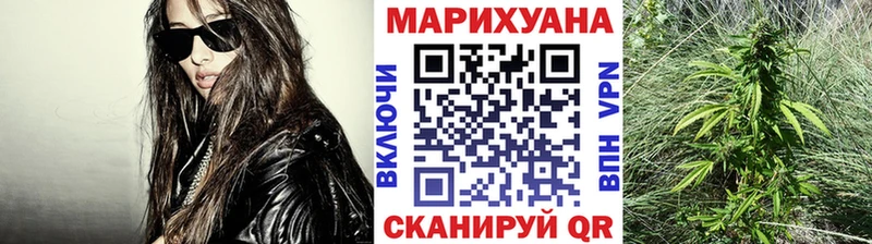 Каннабис планчик  где купить наркотик  Десногорск 